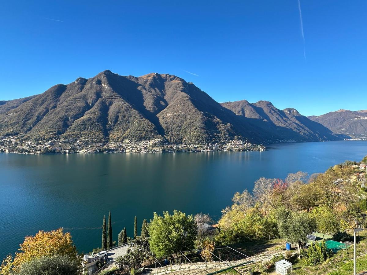 La Casa Del Mastro - Como Lake Pognana Lario Exterior photo